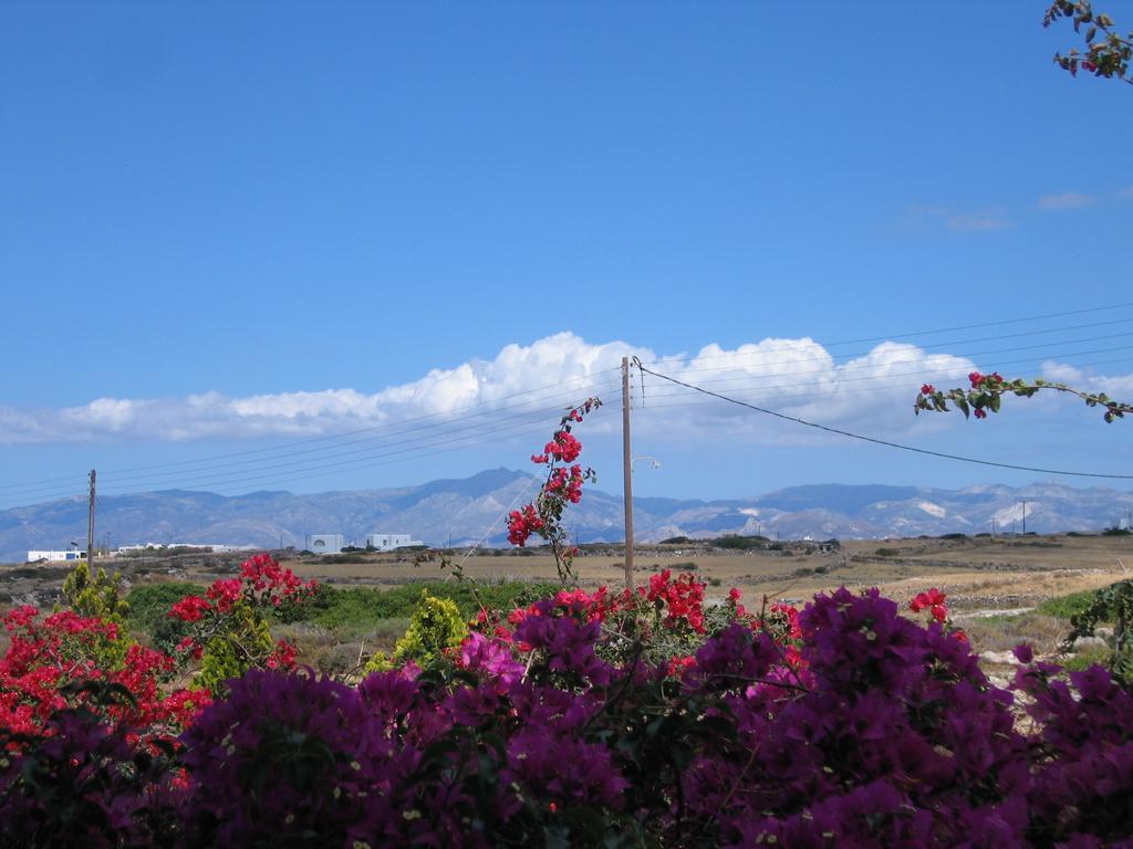 Aella Residence Naousa  Ruang foto